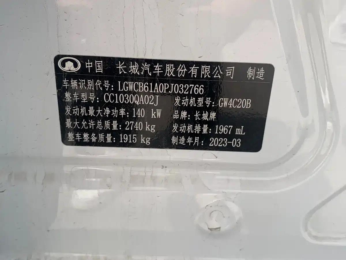 Cannon 2023 2.0T Commercial Version Automatic Gasoline Two-Wheel Drive Elite Standard Box GW4C20B — миниатюра 12