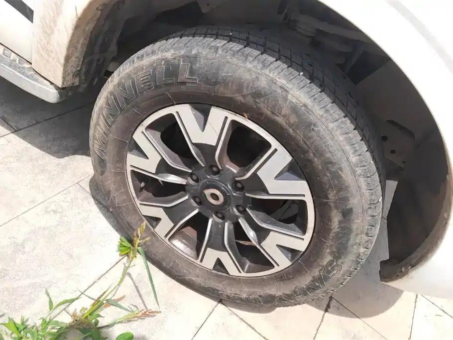 Cannon 2019 2.0T Automatic Gasoline 4WD Sport Edition GW4C20B — миниатюра 6