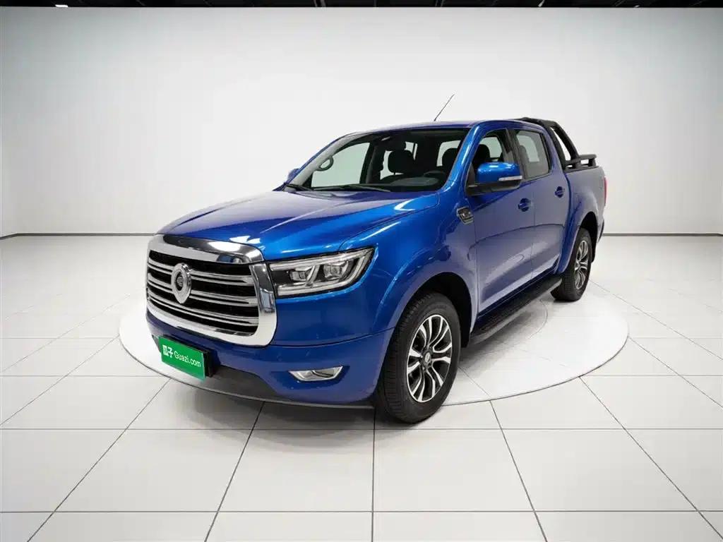 Cannon 2019 2.0T Automatic Gasoline 4WD Comfort Edition GW4C20B — миниатюра 1