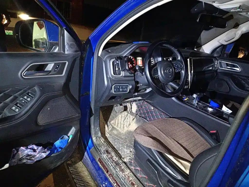 Cannon 2019 2.0T Automatic Gasoline 4WD Comfort Edition GW4C20B — миниатюра 14