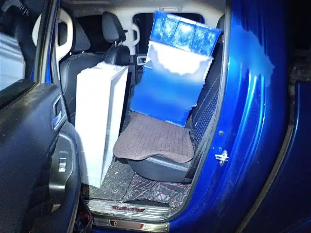 Cannon 2019 2.0T Automatic Gasoline 4WD Comfort Edition GW4C20B — миниатюра 15