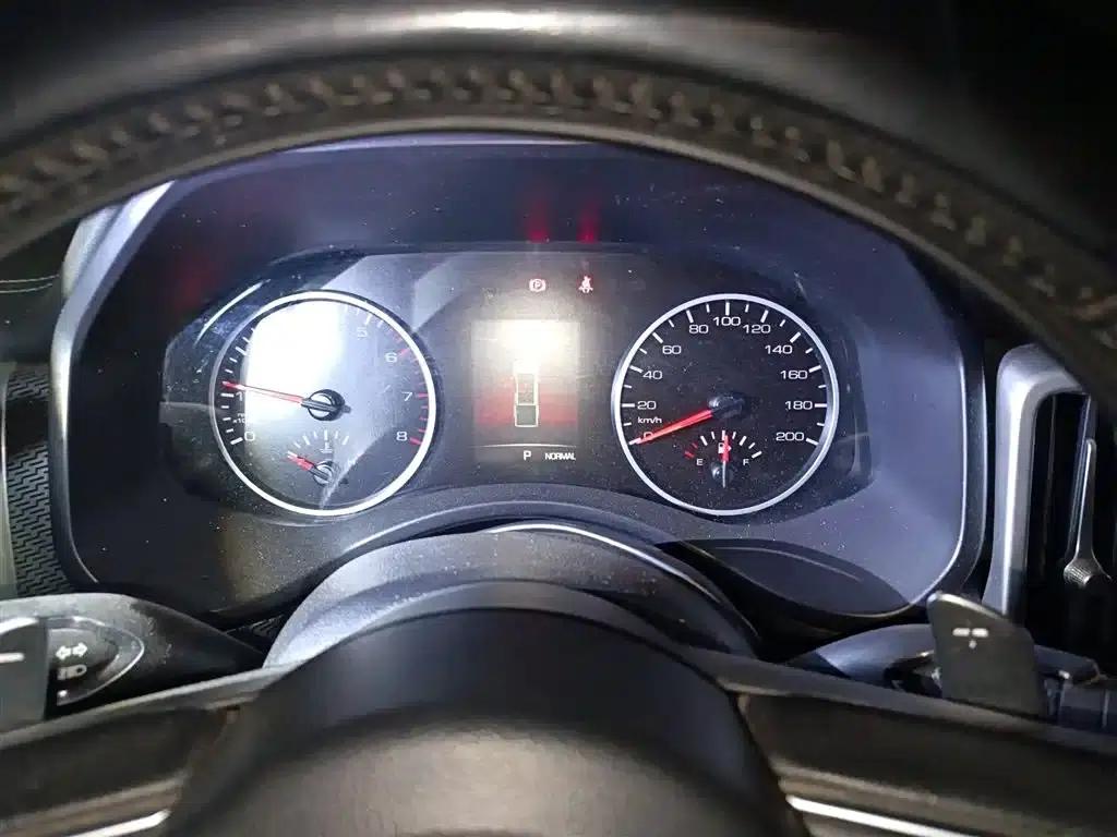 Cannon 2019 2.0T Automatic Gasoline 4WD Comfort Edition GW4C20B — миниатюра 4