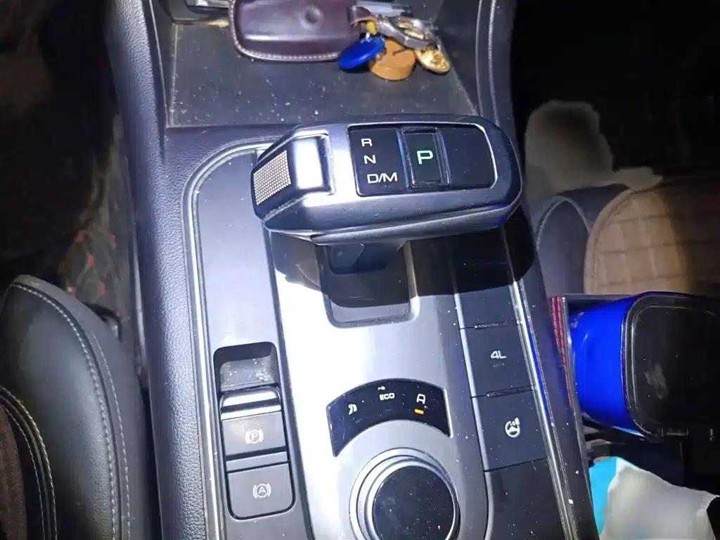 Cannon 2019 2.0T Automatic Gasoline 4WD Comfort Edition GW4C20B — миниатюра 7