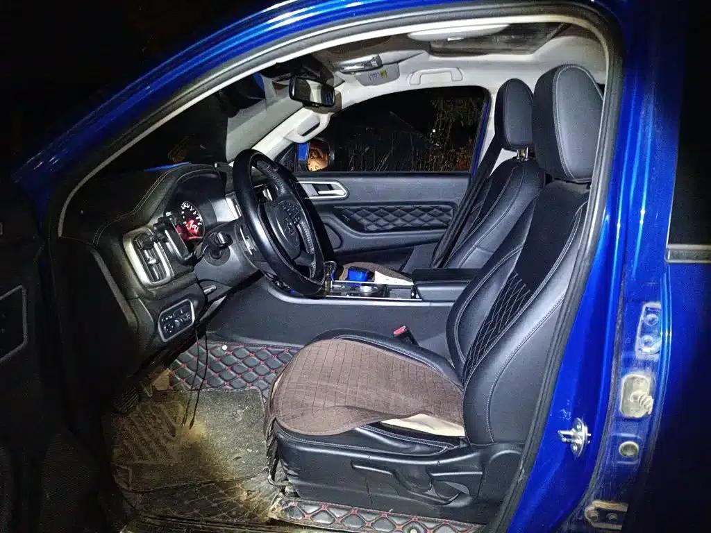 Cannon 2019 2.0T Automatic Gasoline 4WD Comfort Edition GW4C20B — миниатюра 8