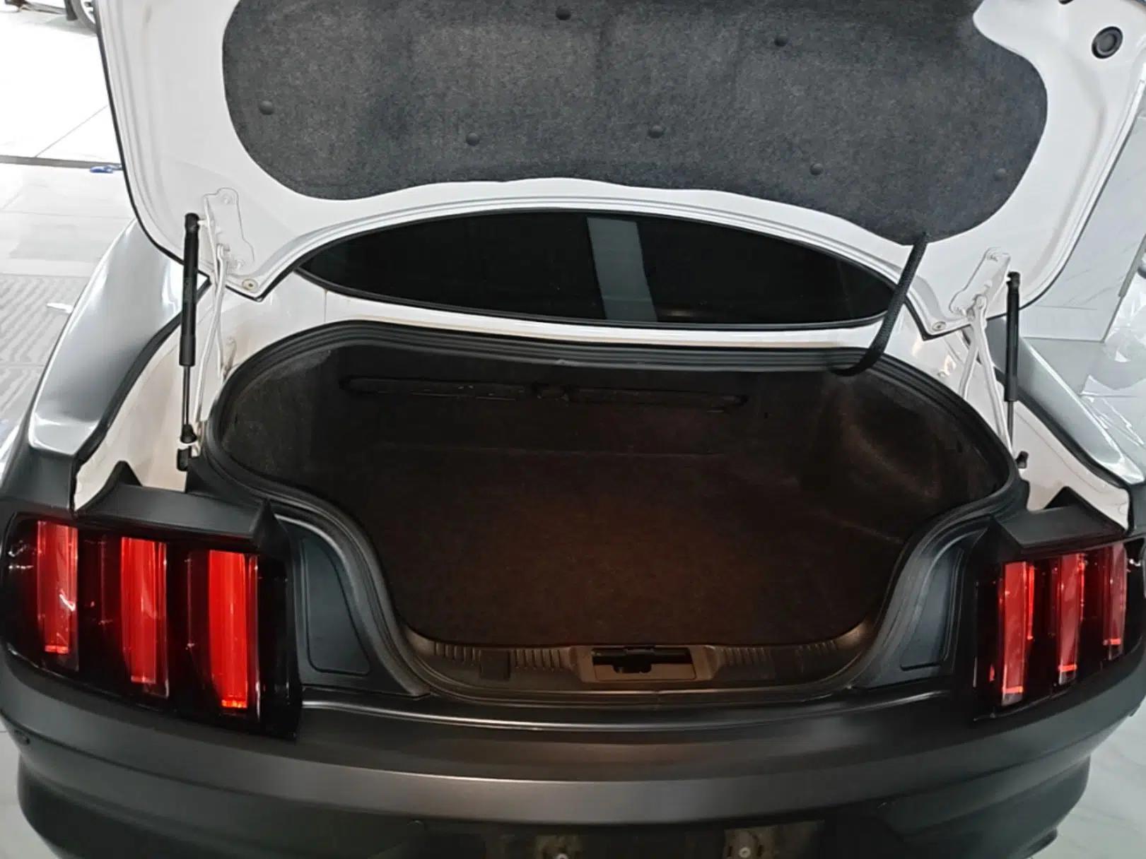 Ford Mustang 2016 2.3T Automatic Middle East Version — миниатюра 22
