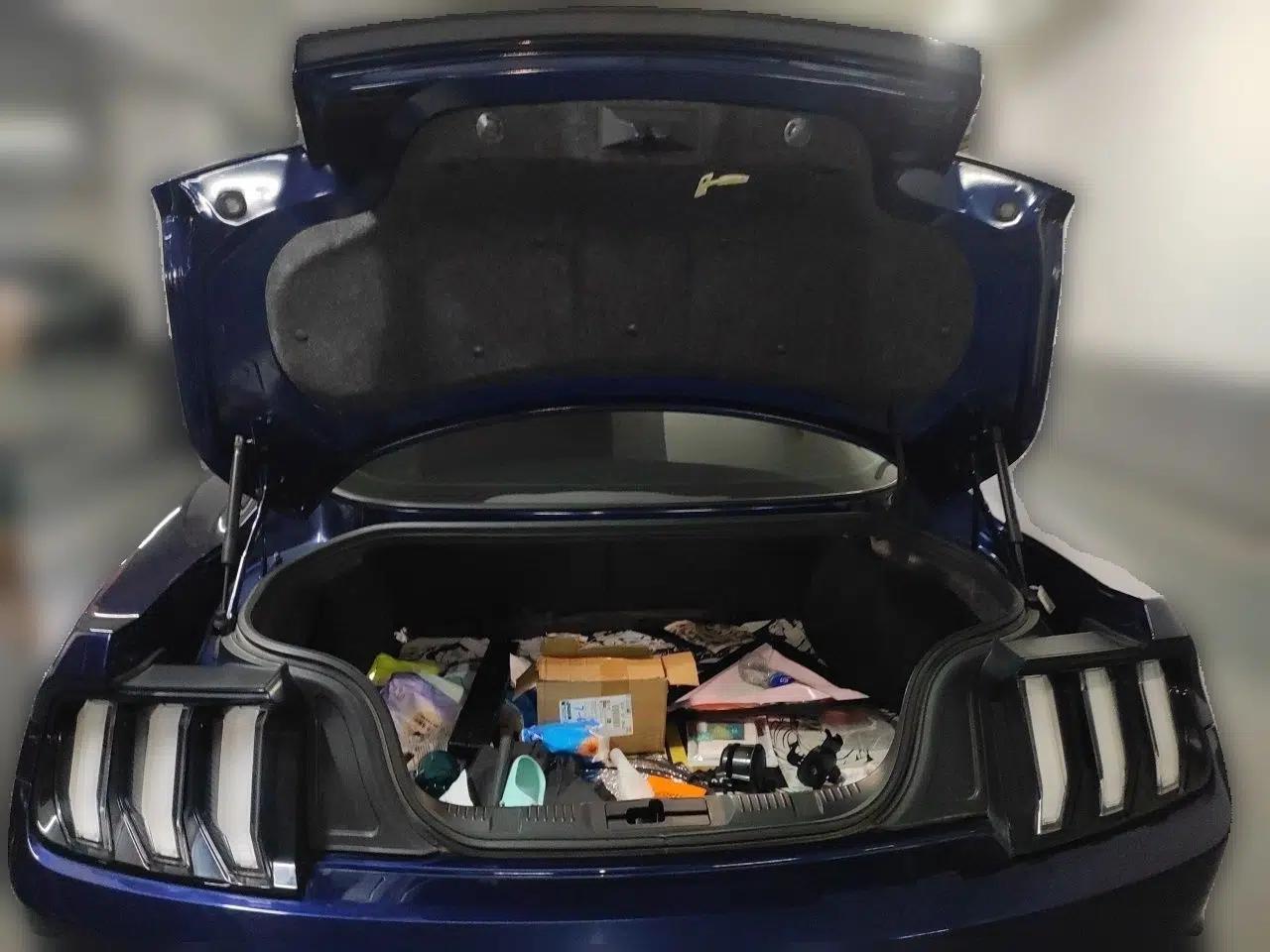 Ford Mustang 2019 2.3L EcoBoost — миниатюра 20