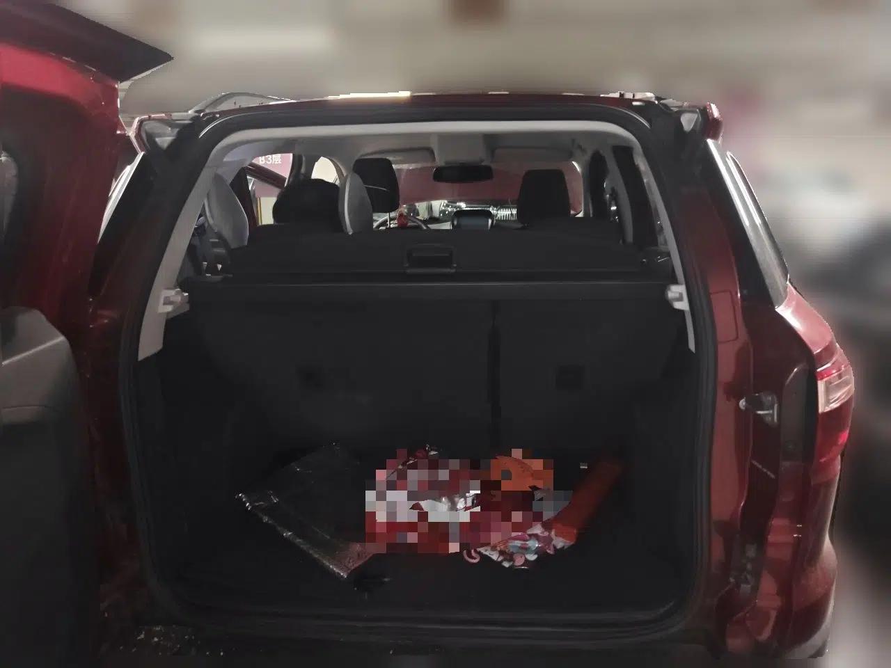 Ford EcoSport 2013 1.5L Automatic Fashion Model — миниатюра 16