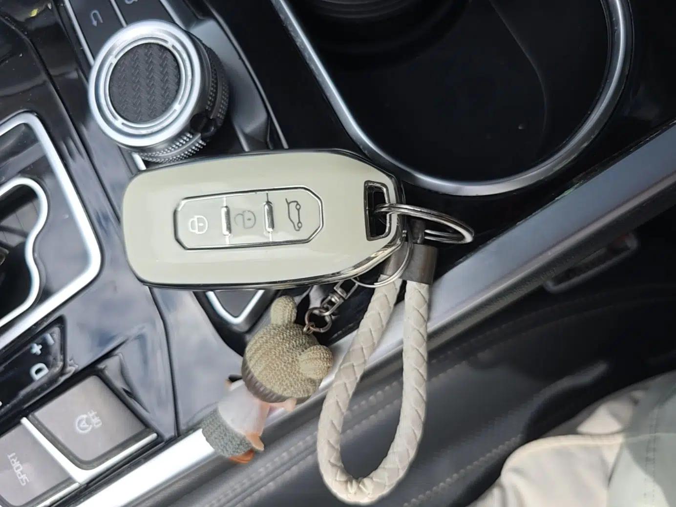 Ford Territory 2020 Lingjie S EcoBoost 145 CVT Platinum Edition — миниатюра 12