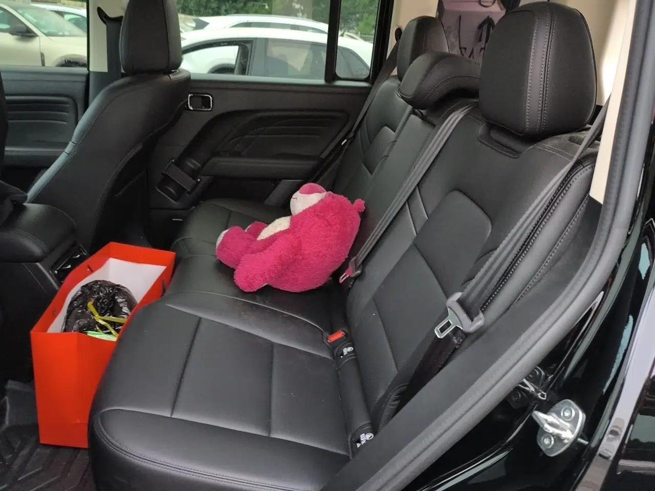Haval Raptor New Energy 2024 Hi4 102 Pro — миниатюра 20