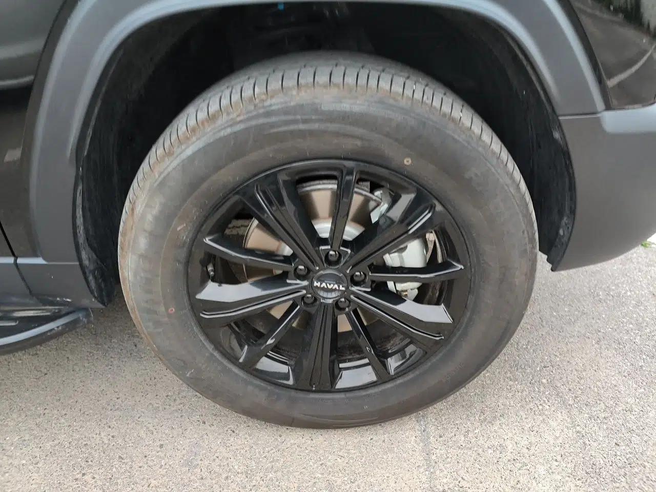 Haval Raptor New Energy 2024 Hi4 102 Pro — миниатюра 8