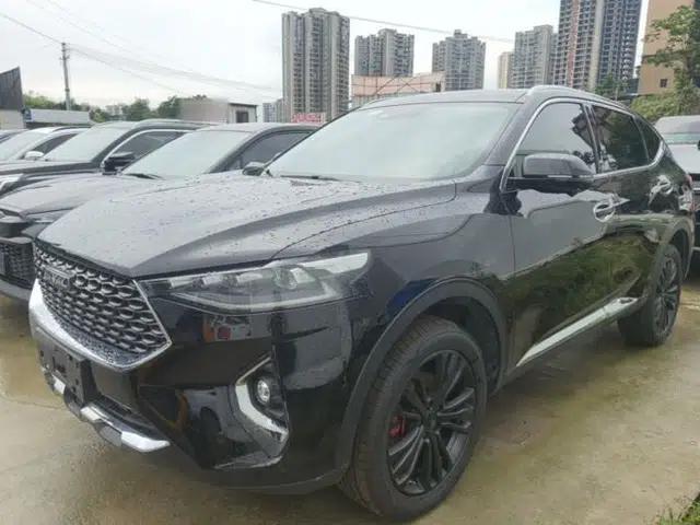 Haval F7 2020 2.0T Two-Wheel Drive i-Van