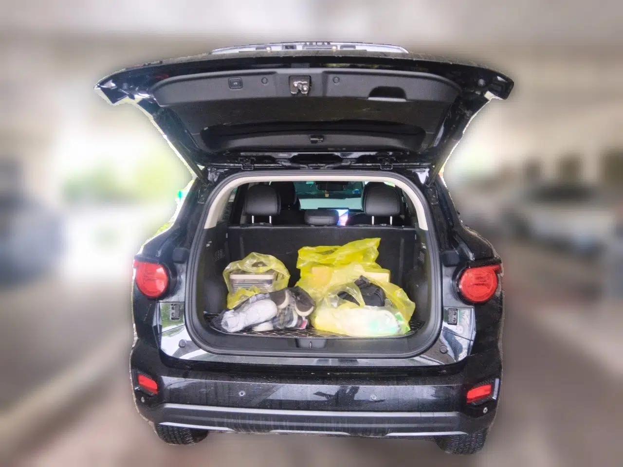 Haval H Dog 2023 2.0T All-Wheel-Drive Chaoye Plus — миниатюра 20