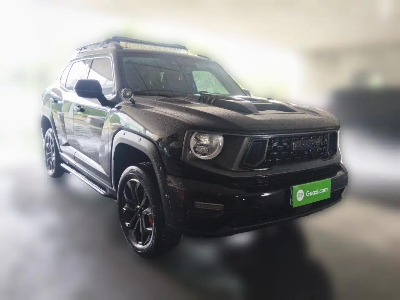 Haval H Dog 2023 2.0T All-Wheel-Drive Chaoye Plus — миниатюра 3