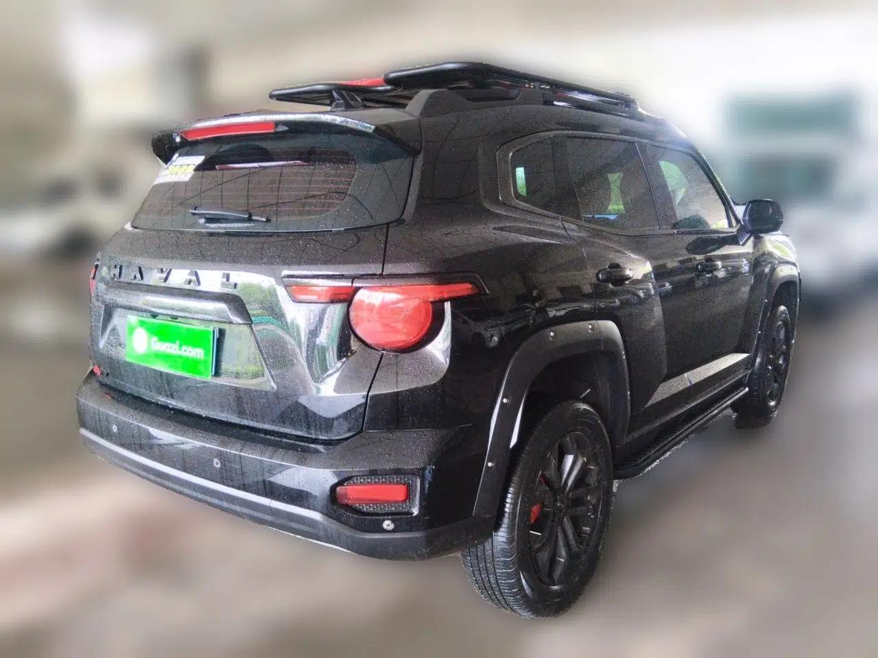 Haval H Dog 2023 2.0T All-Wheel-Drive Chaoye Plus — миниатюра 6