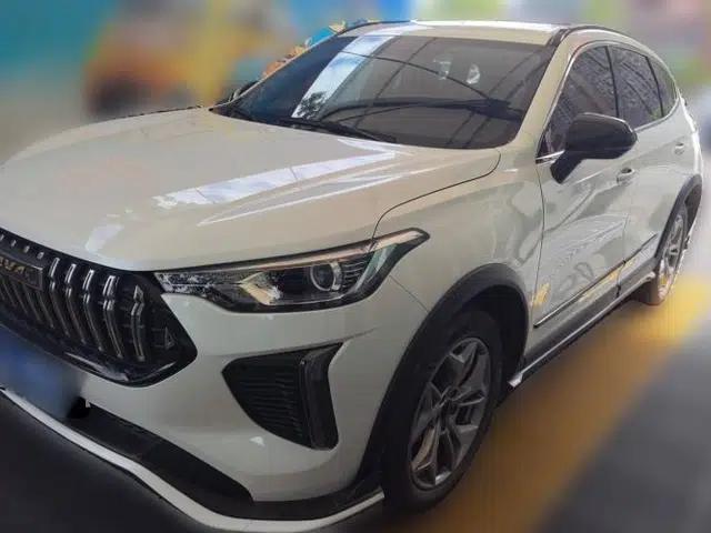 Haval LHERY 2022 Jingxiang Edition 1.5T Brass Rabbit