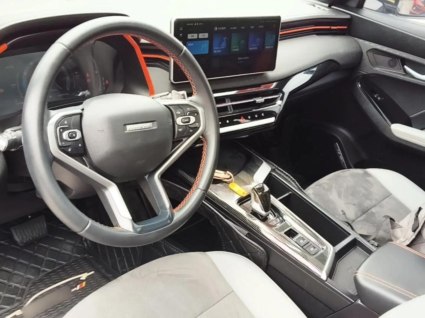 Haval LHERY 2021 High-Performance Version 1.5T Golden Rabbit — миниатюра 12