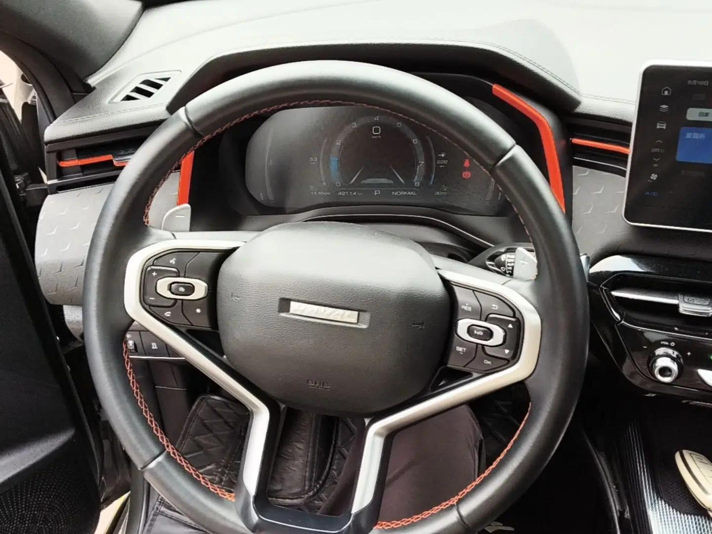 Haval LHERY 2021 High-Performance Version 1.5T Golden Rabbit — миниатюра 13