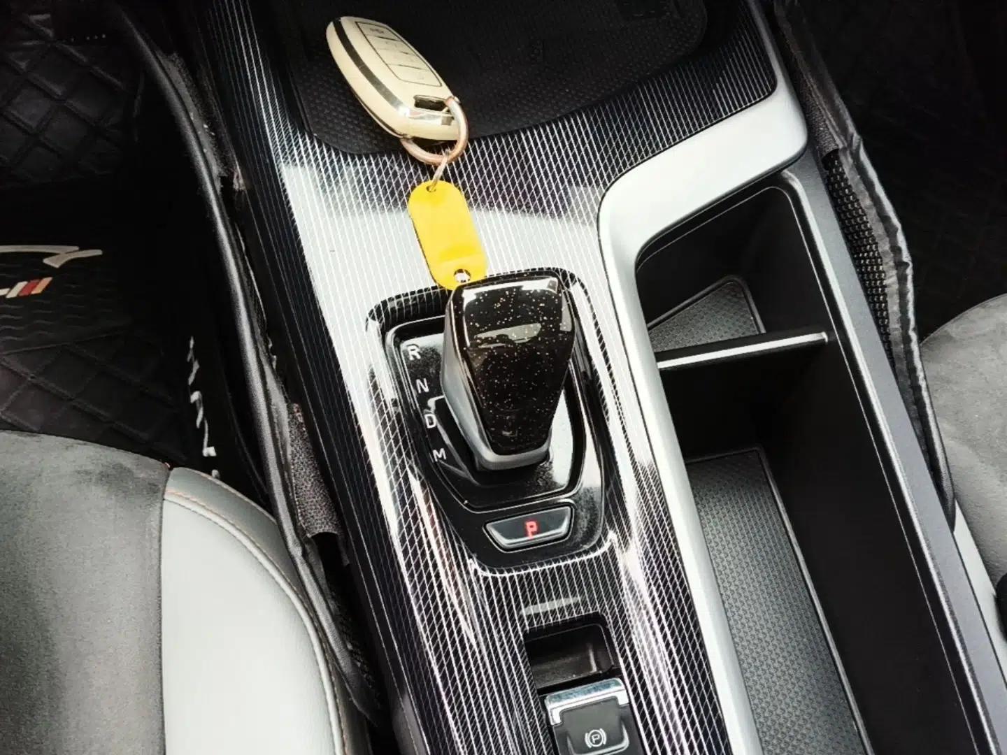 Haval LHERY 2021 High-Performance Version 1.5T Golden Rabbit — миниатюра 16