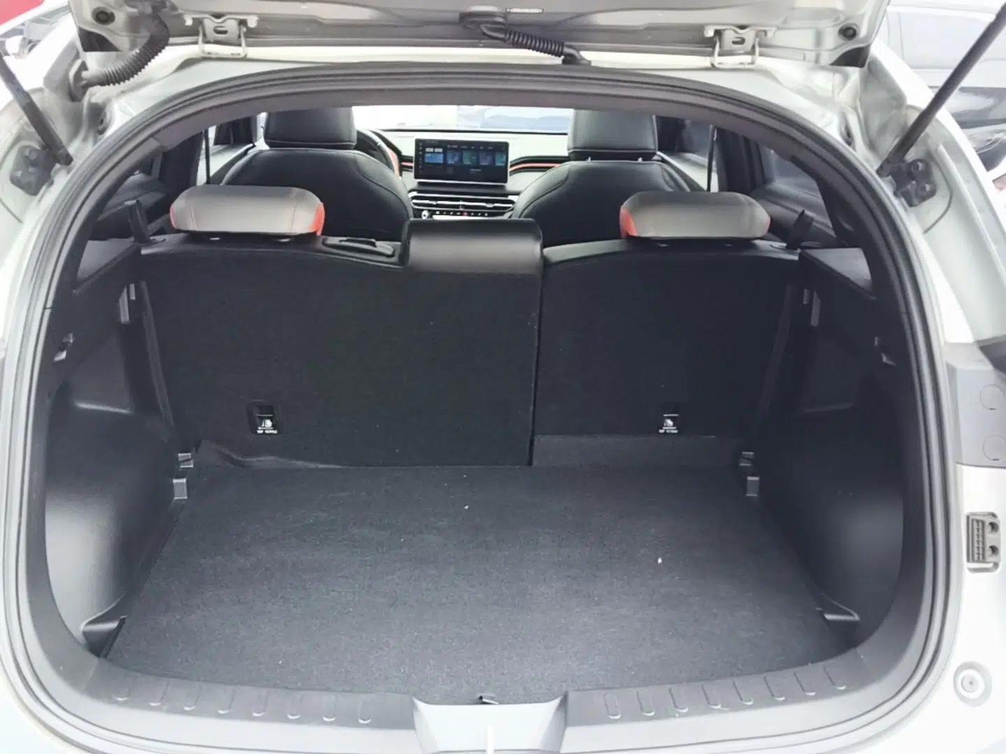 Haval LHERY 2021 High-Performance Version 1.5T Golden Rabbit — миниатюра 21