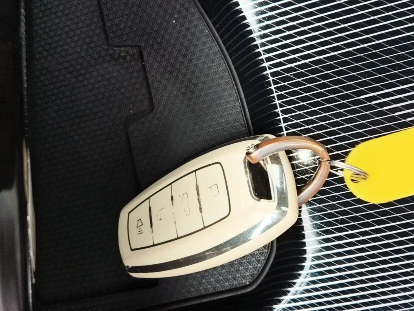 Haval LHERY 2021 High-Performance Version 1.5T Golden Rabbit — миниатюра 22