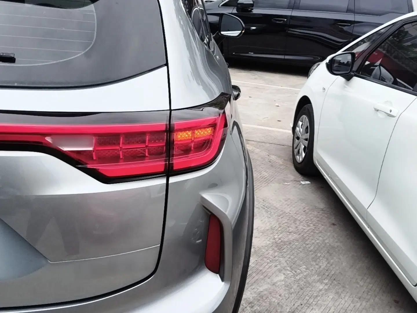 Haval LHERY 2021 High-Performance Version 1.5T Golden Rabbit — миниатюра 8