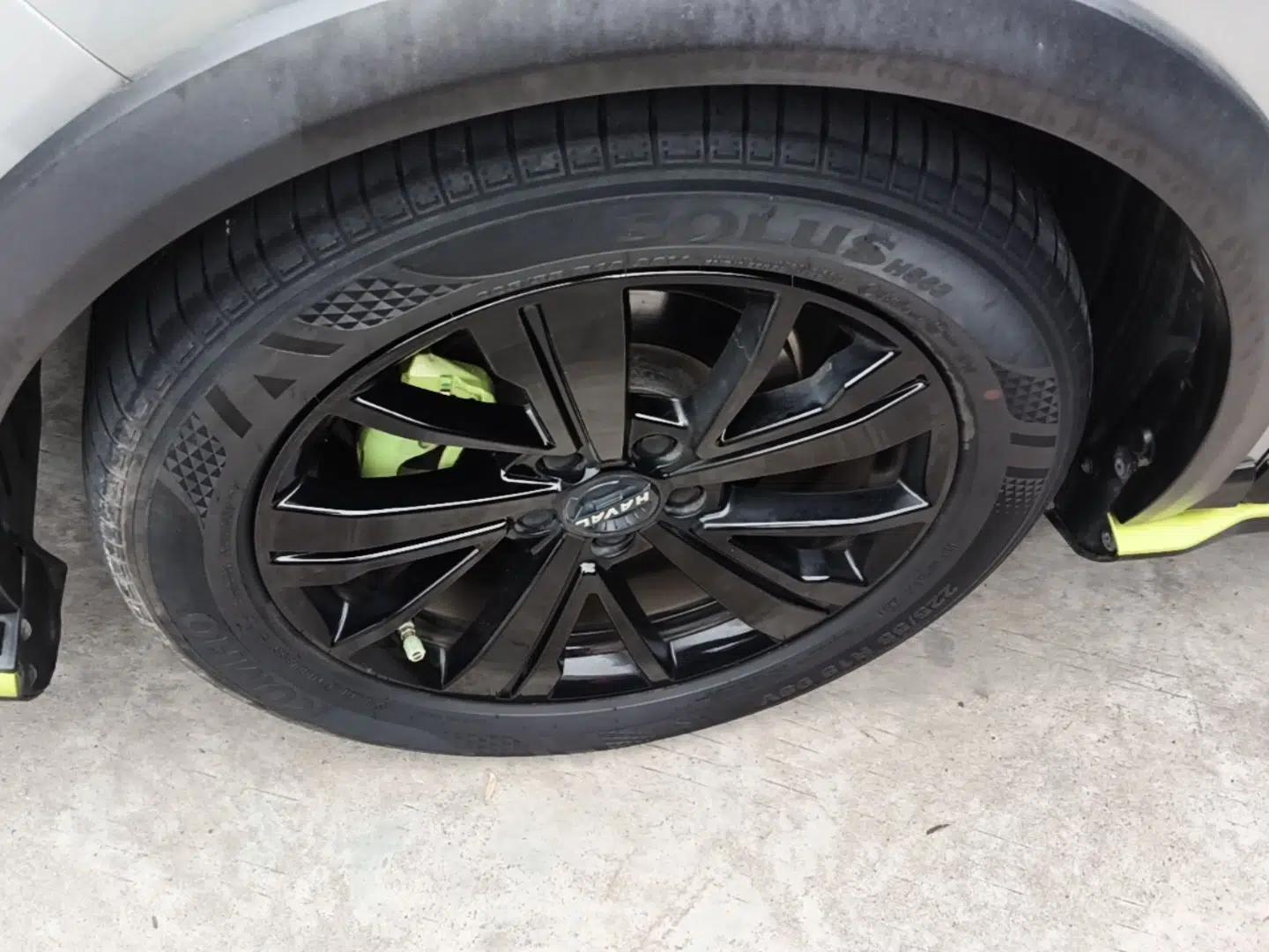 Haval LHERY 2021 High-Performance Version 1.5T Golden Rabbit — миниатюра 9