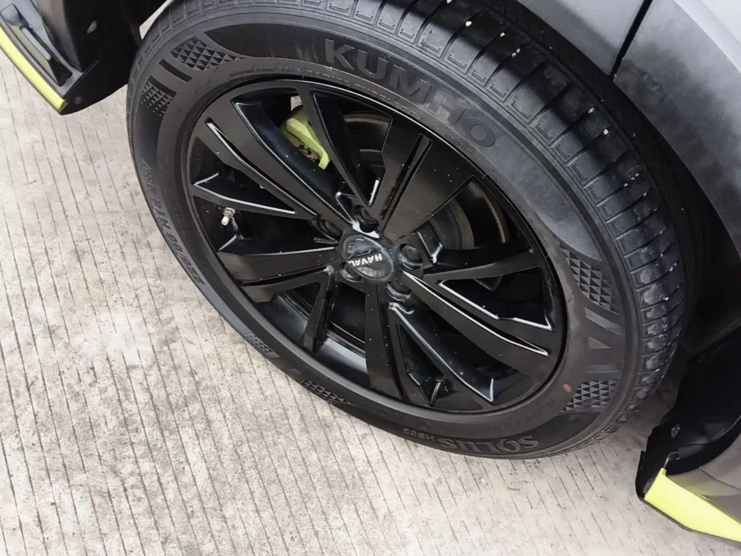 Haval LHERY 2021 High-Performance Version 1.5T Golden Rabbit — миниатюра 10