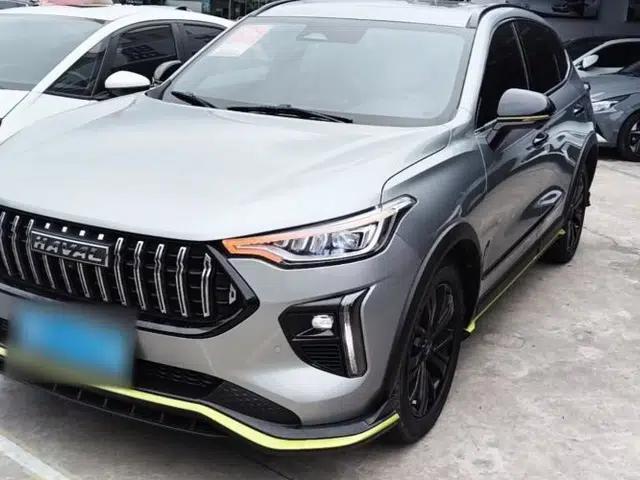 Haval LHERY 2021 High-Performance Version 1.5T Golden Rabbit