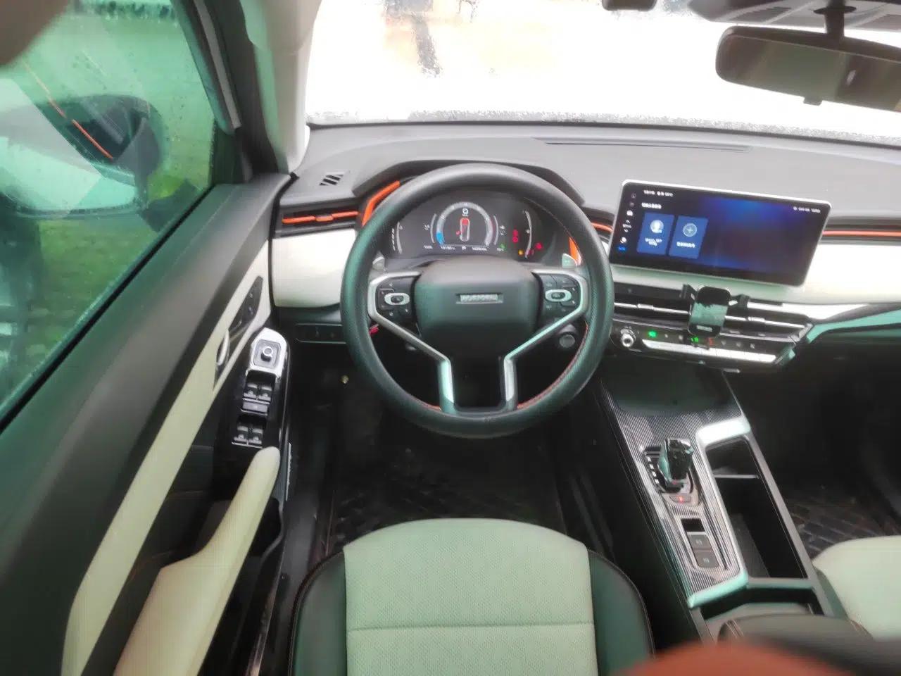 Haval LHERY 2021 High-Performance Version 1.5T Golden Rabbit — миниатюра 11