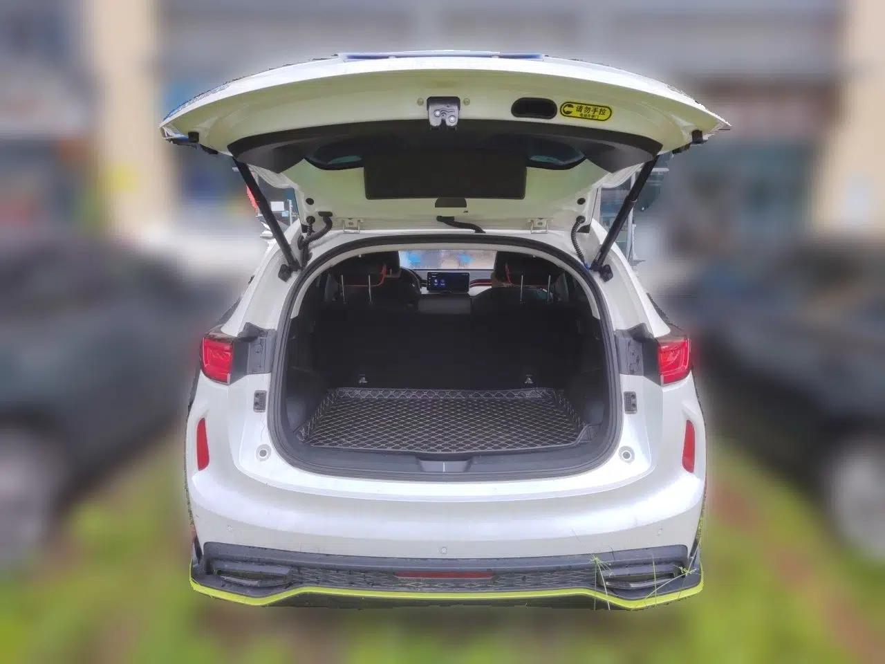 Haval LHERY 2021 High-Performance Version 1.5T Golden Rabbit — миниатюра 20