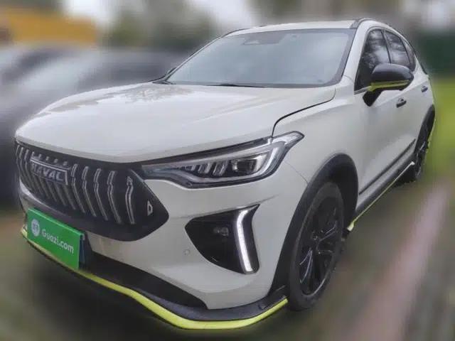 Haval LHERY 2021 High-Performance Version 1.5T Golden Rabbit
