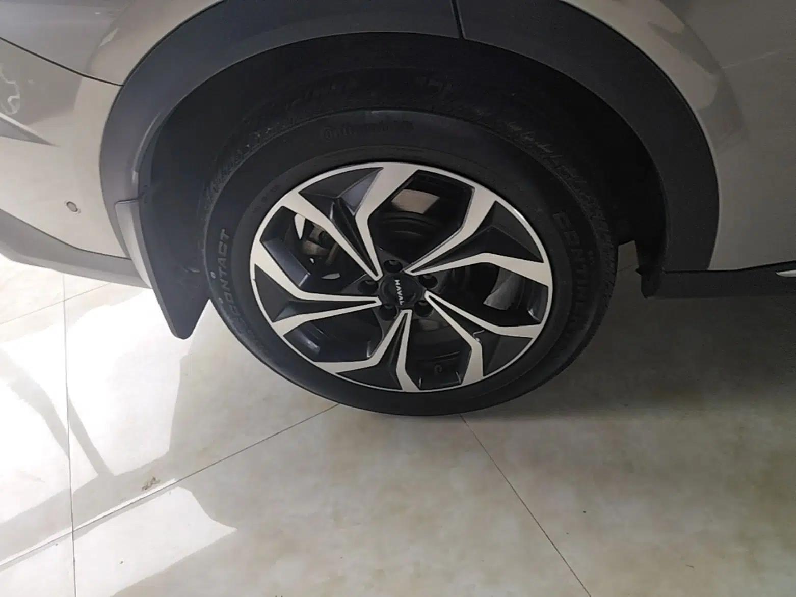 Haval Fierce Dragon Max 2023 1.5L Hi4 105 Four-Wheel Drive Smart Flagship Edition — миниатюра 10