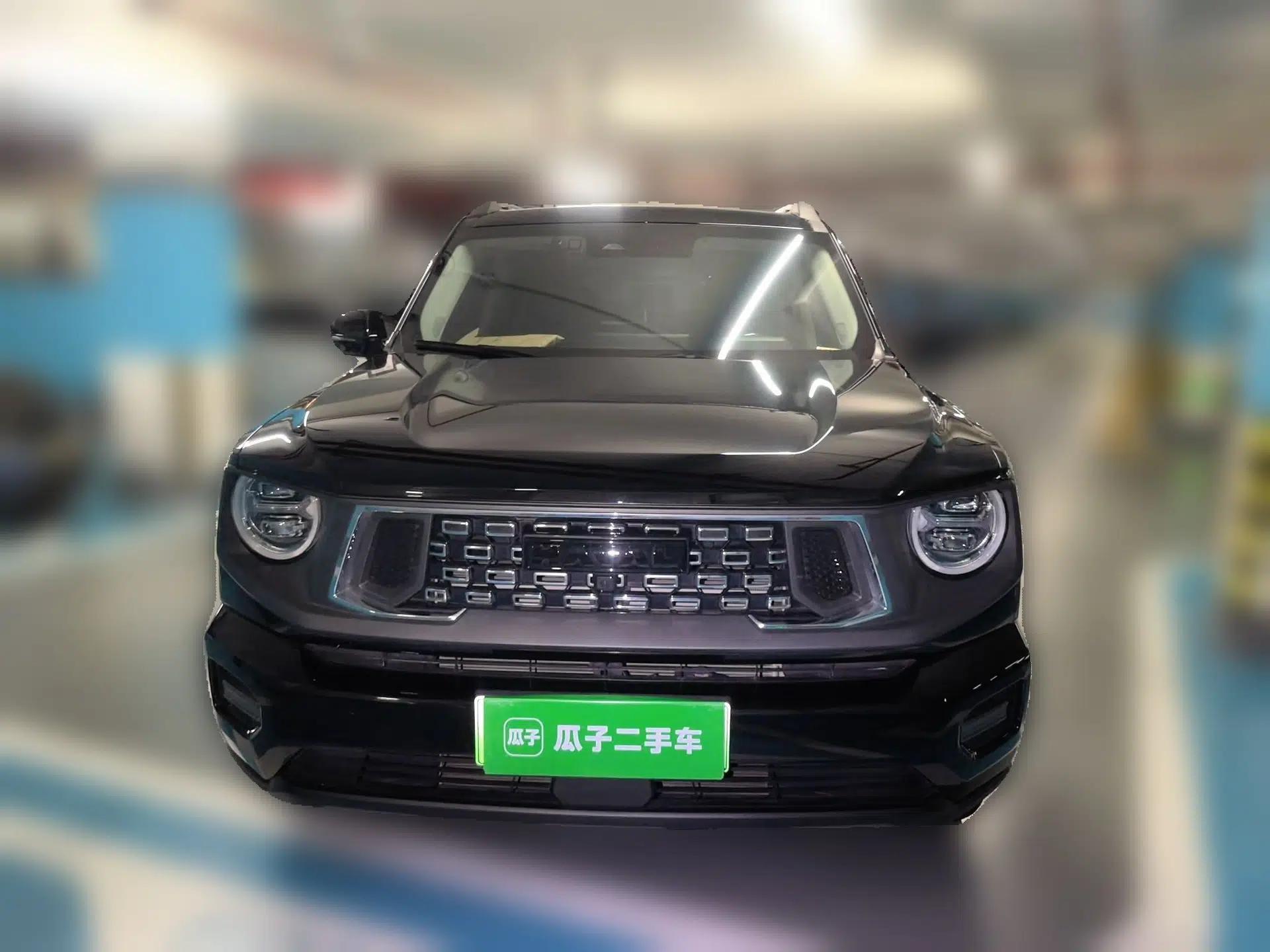 Haval H Dog New Energy 2023 DHT-PHEV 105km Tide Electric Version Plus — миниатюра 2