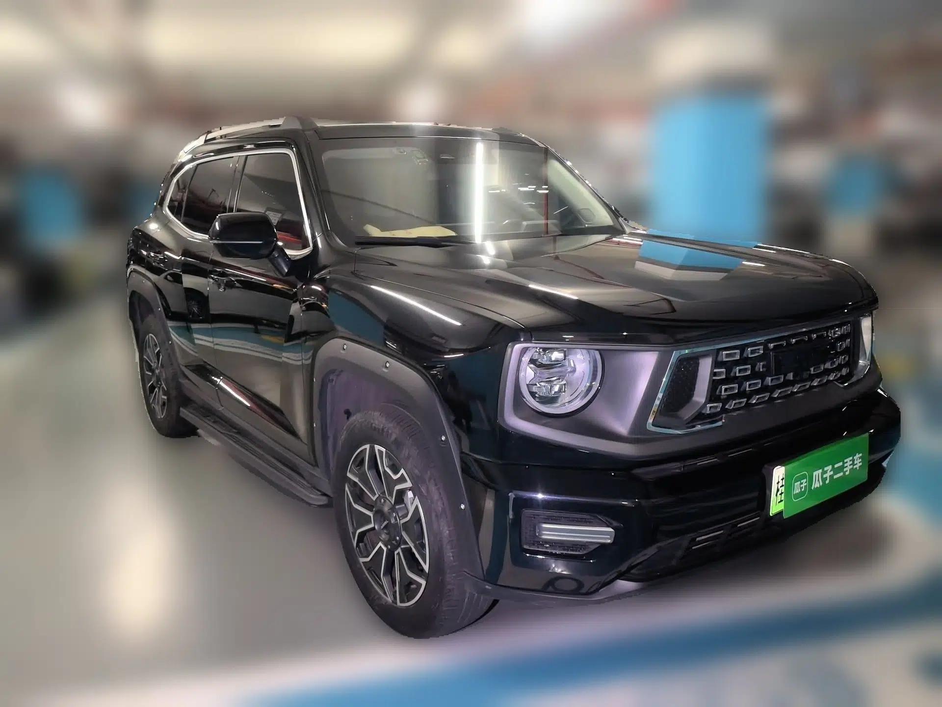 Haval H Dog New Energy 2023 DHT-PHEV 105km Tide Electric Version Plus — миниатюра 3