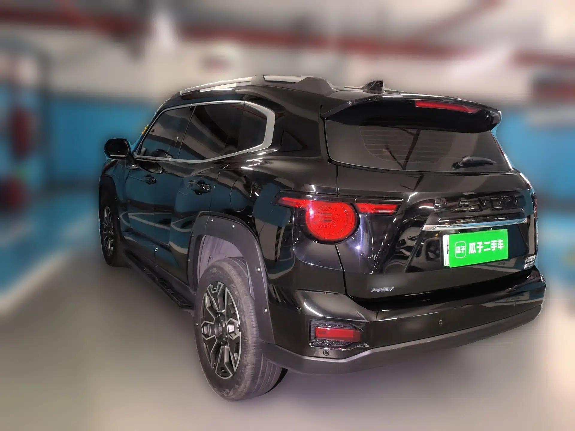 Haval H Dog New Energy 2023 DHT-PHEV 105km Tide Electric Version Plus — миниатюра 4