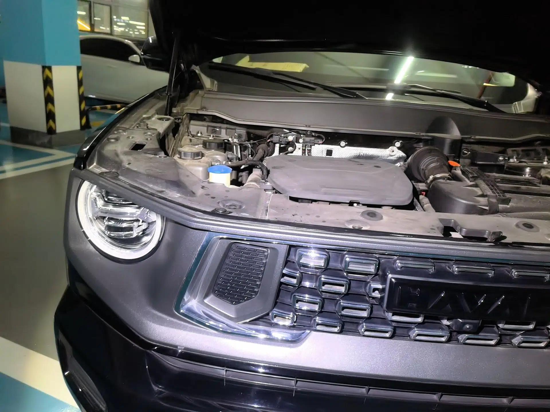 Haval H Dog New Energy 2023 DHT-PHEV 105km Tide Electric Version Plus — миниатюра 7