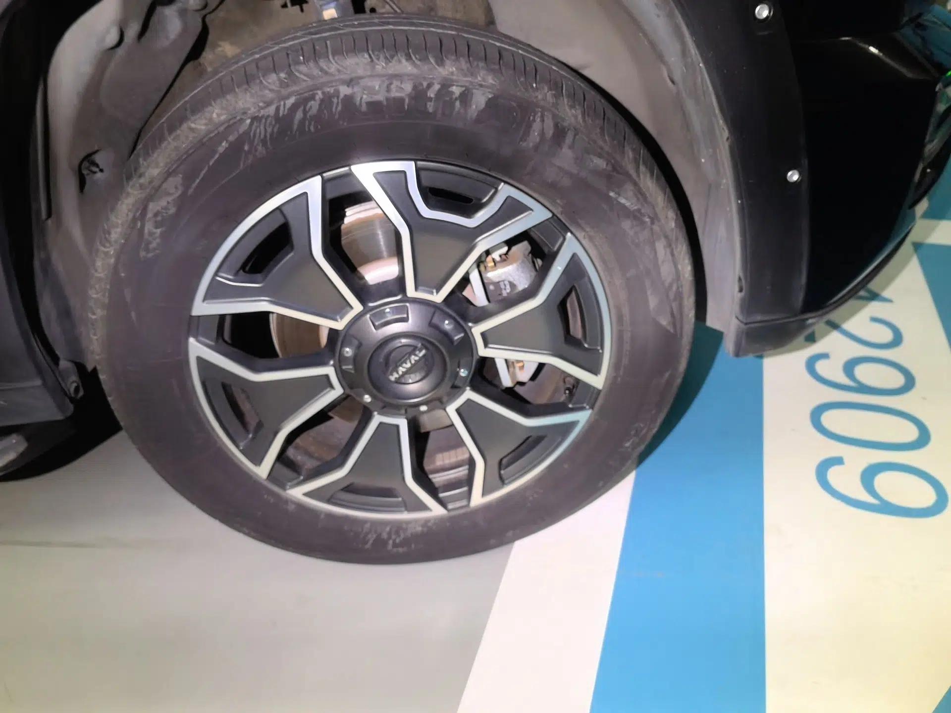 Haval H Dog New Energy 2023 DHT-PHEV 105km Tide Electric Version Plus — миниатюра 8