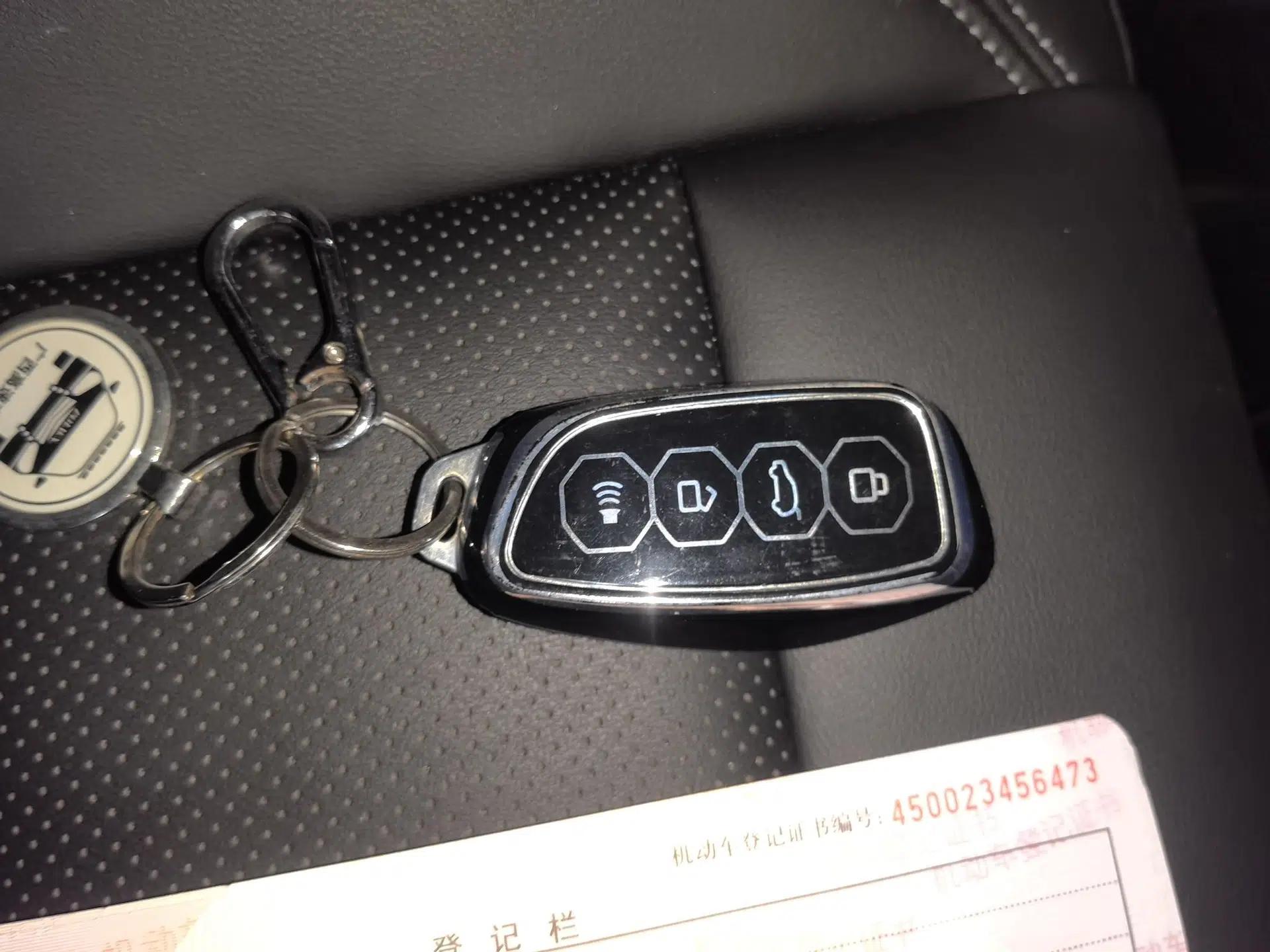 Haval H Dog New Energy 2023 DHT-PHEV 105km Tide Electric Version Plus — миниатюра 9
