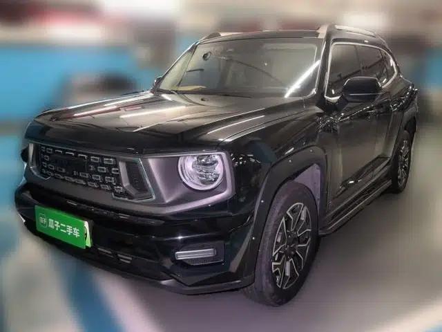 Haval H Dog New Energy 2023 DHT-PHEV 105km Tide Electric Version Plus