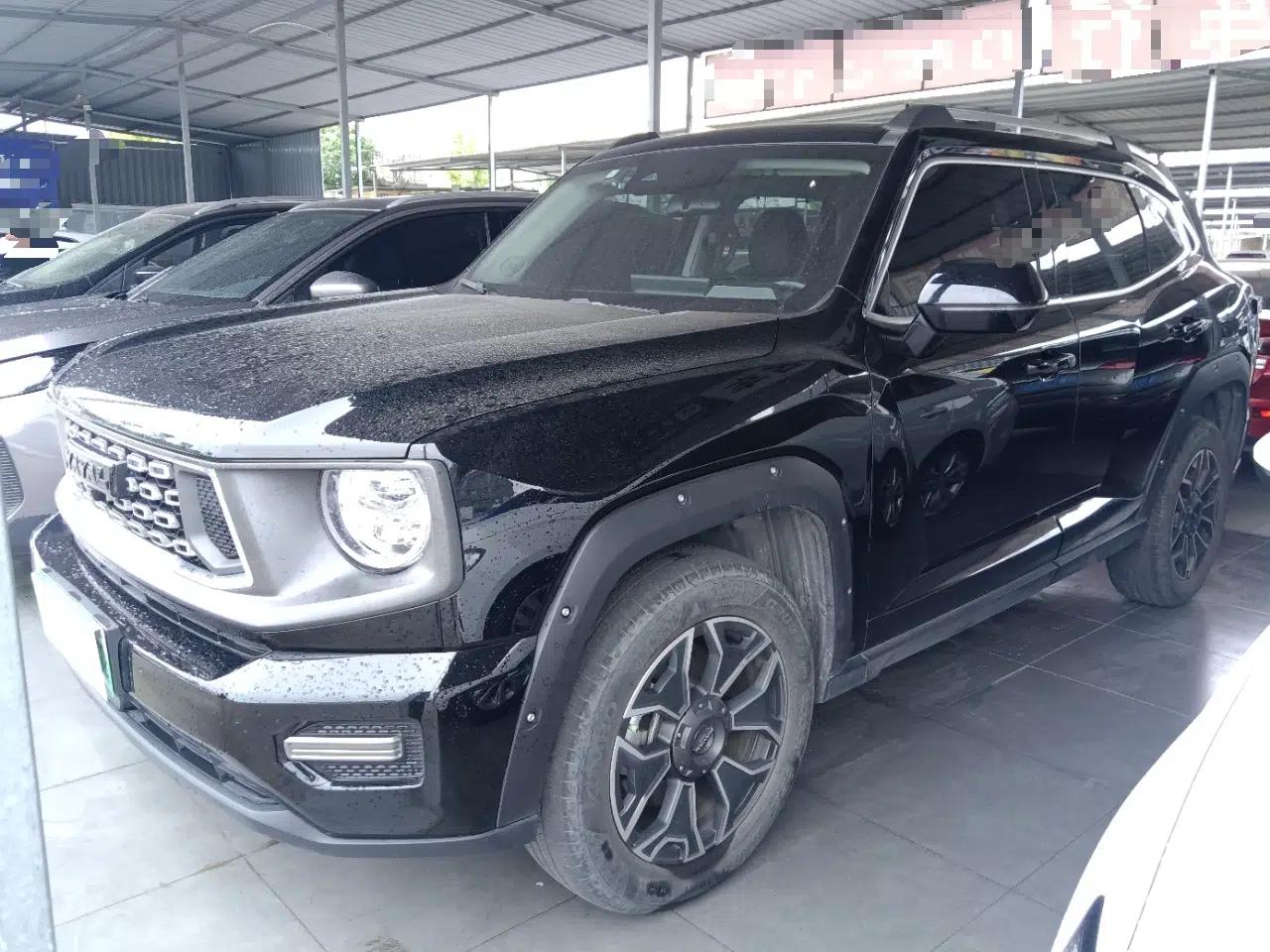 Haval H Dog New Energy 2023 DHT-PHEV 105km Tide Electric Version Plus — миниатюра 1