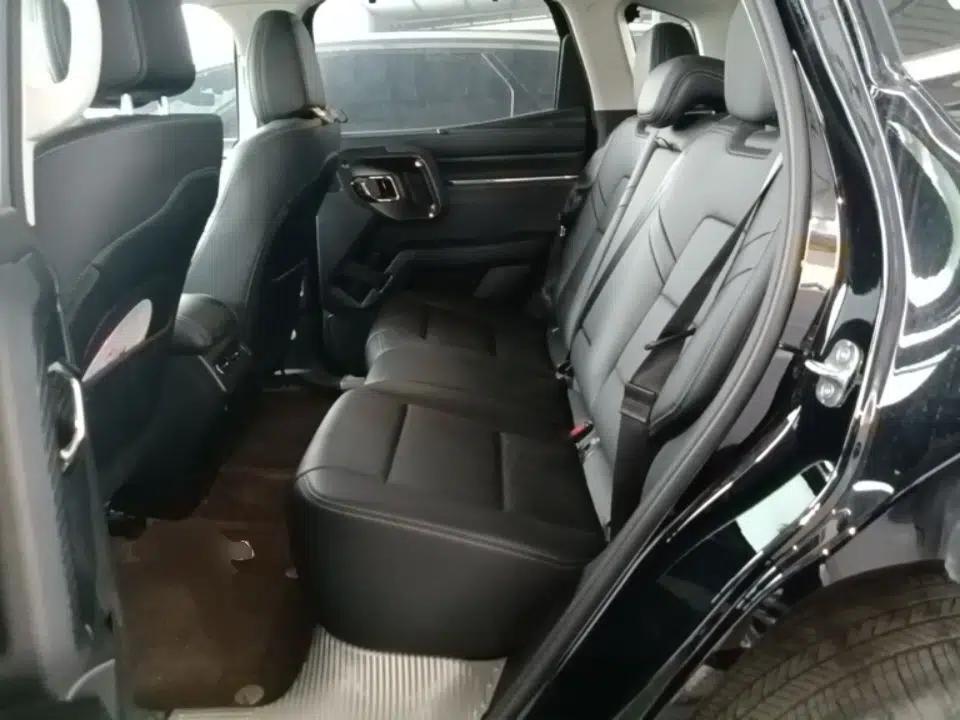 Haval H Dog New Energy 2023 DHT-PHEV 105km Tide Electric Version Plus — миниатюра 20