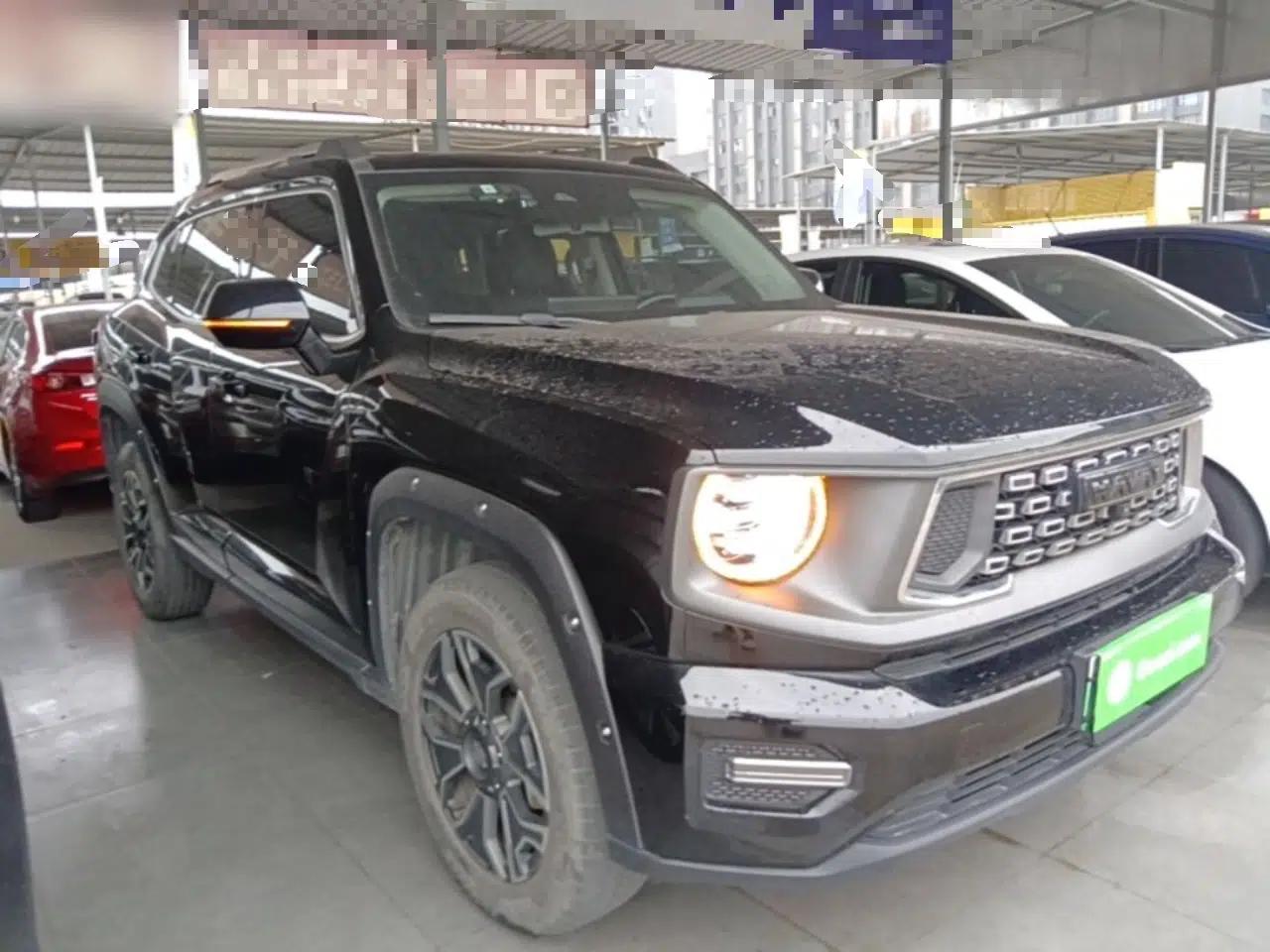 Haval H Dog New Energy 2023 DHT-PHEV 105km Tide Electric Version Plus — миниатюра 3