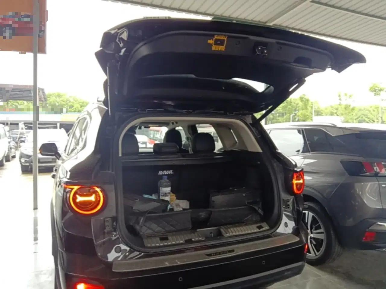 Haval H Dog New Energy 2023 DHT-PHEV 105km Tide Electric Version Plus — миниатюра 22