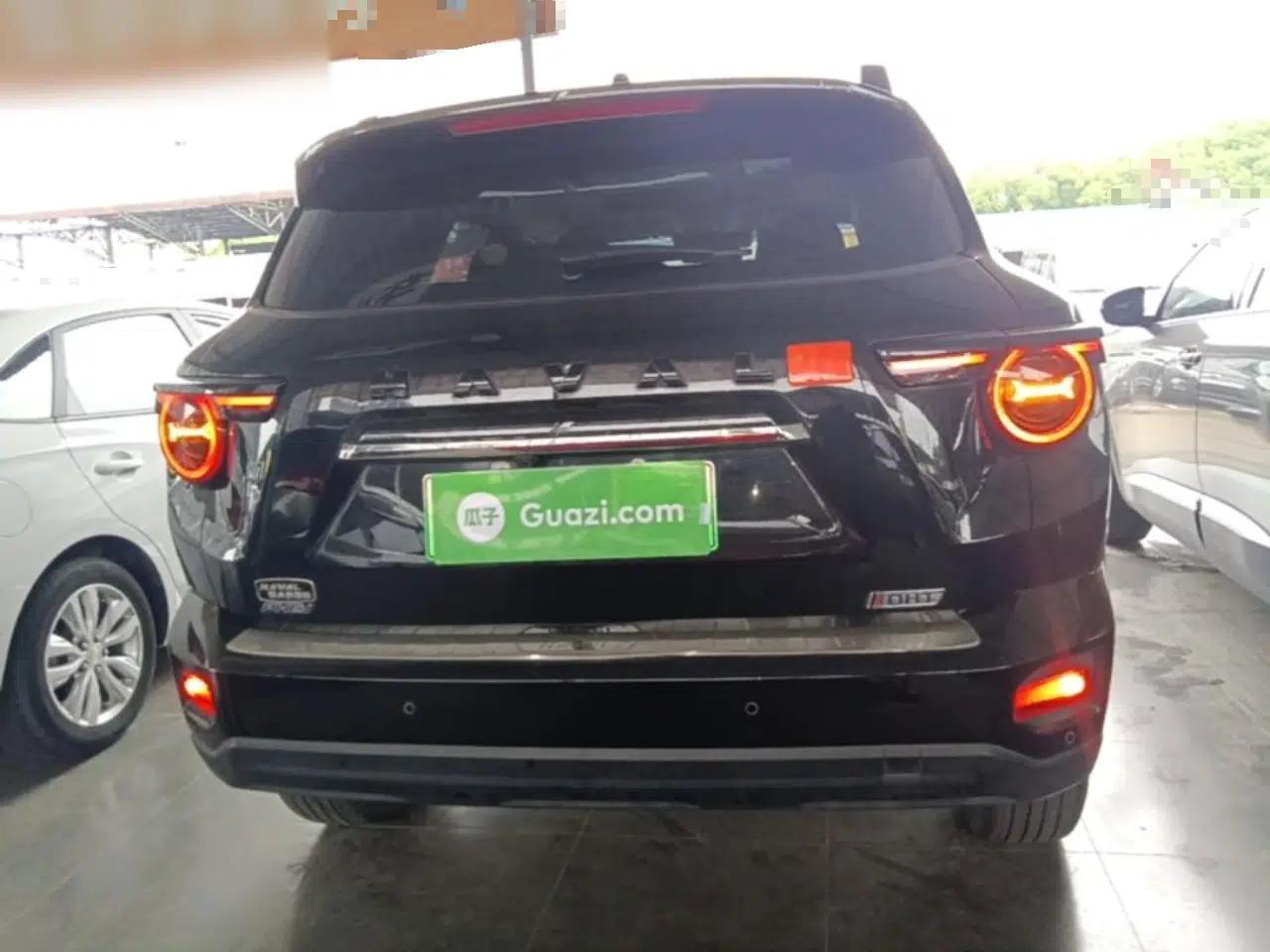 Haval H Dog New Energy 2023 DHT-PHEV 105km Tide Electric Version Plus — миниатюра 5