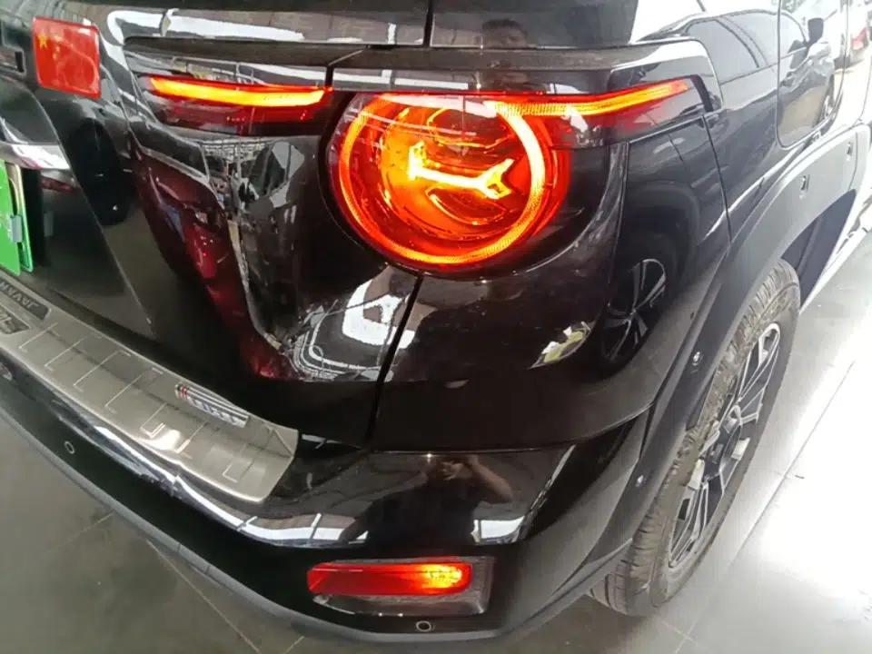 Haval H Dog New Energy 2023 DHT-PHEV 105km Tide Electric Version Plus — миниатюра 7