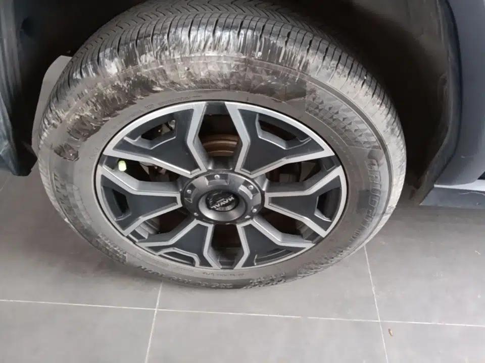 Haval H Dog New Energy 2023 DHT-PHEV 105km Tide Electric Version Plus — миниатюра 10