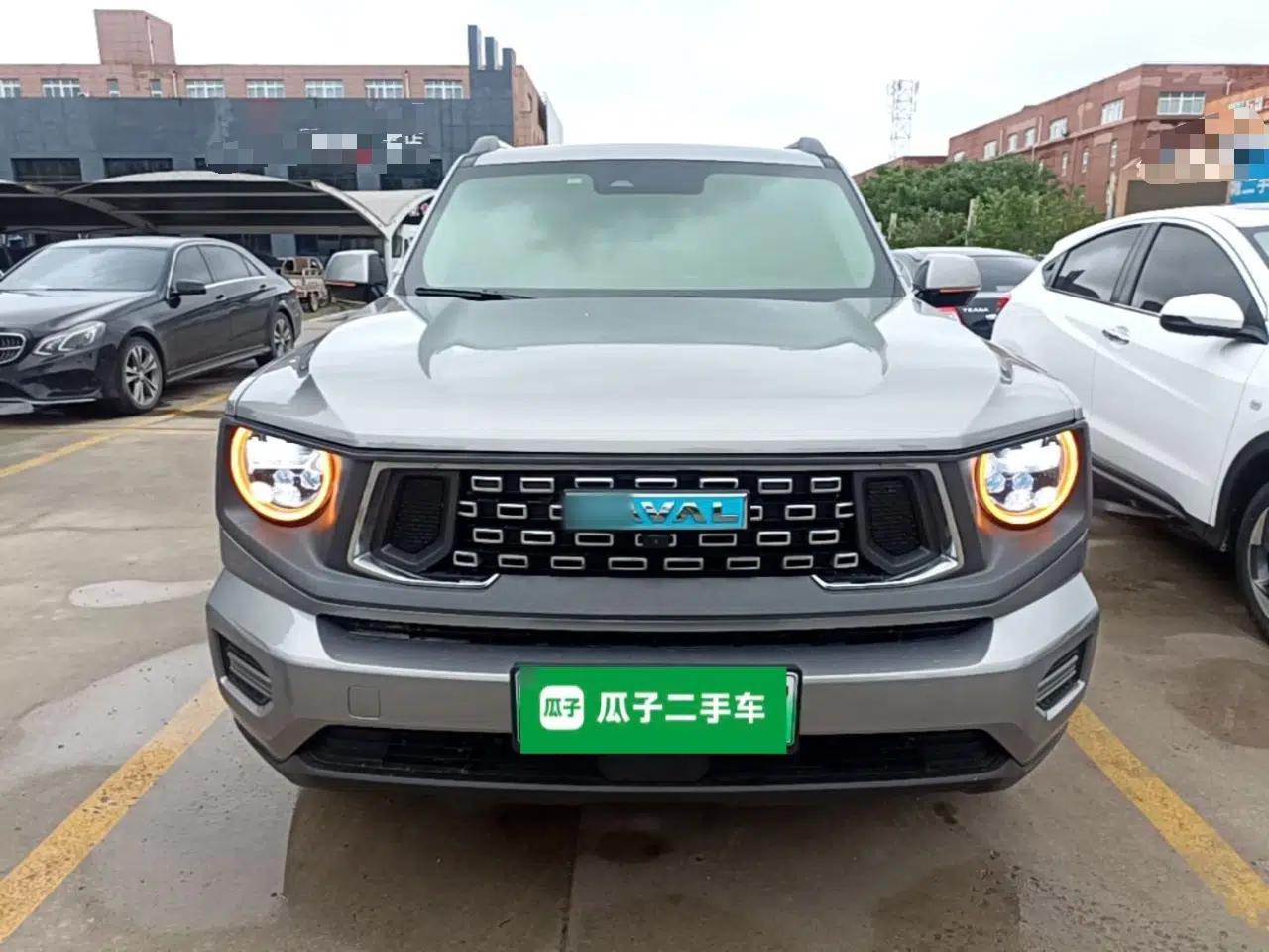 Haval H Dog New Energy 2023 DHT-PHEV 105km Tide Electric Version Plus — миниатюра 2