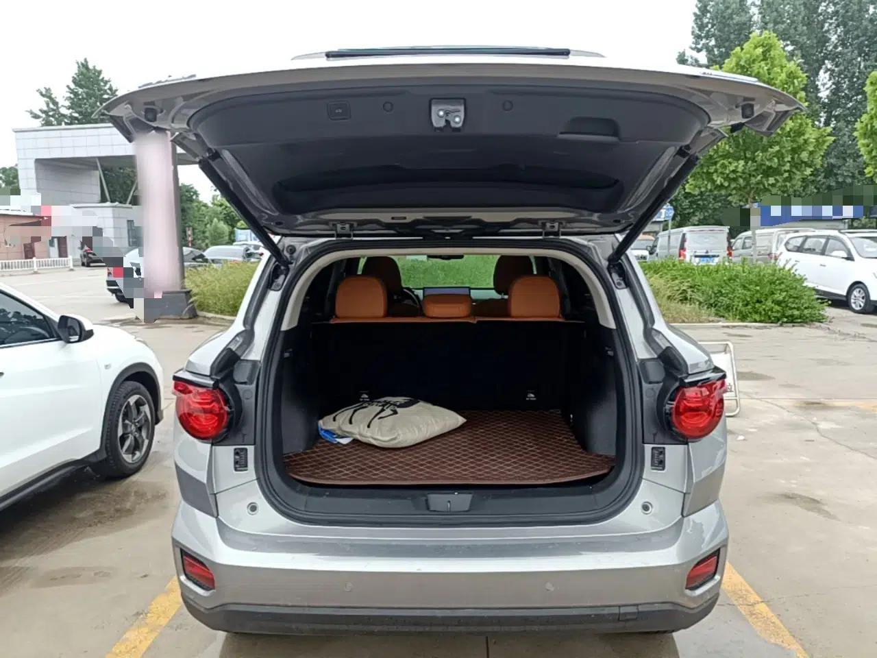 Haval H Dog New Energy 2023 DHT-PHEV 105km Tide Electric Version Plus — миниатюра 22