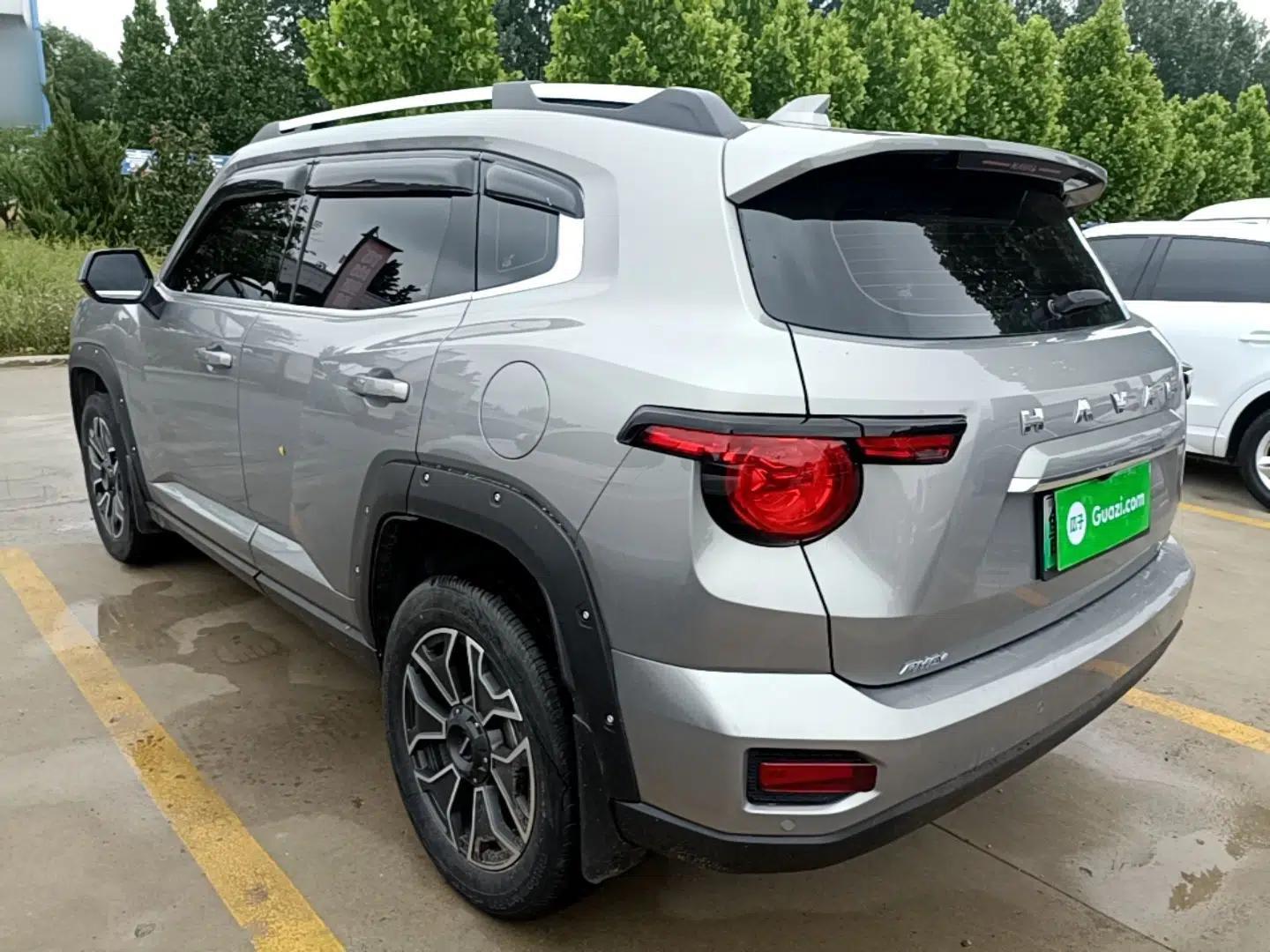Haval H Dog New Energy 2023 DHT-PHEV 105km Tide Electric Version Plus — миниатюра 4