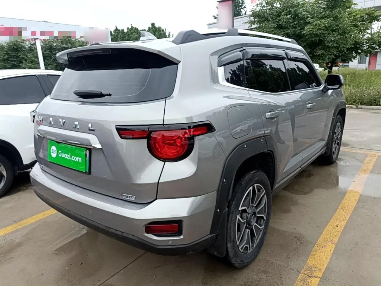 Haval H Dog New Energy 2023 DHT-PHEV 105km Tide Electric Version Plus — миниатюра 6